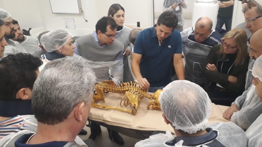 WhatsApp Image 2025-10-30 at 11.25.30